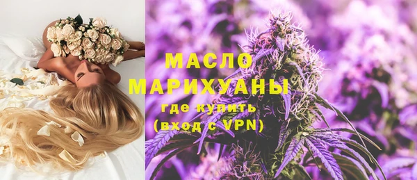 винт Инта