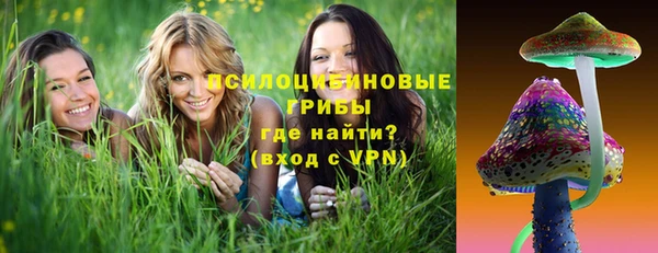 винт Инта