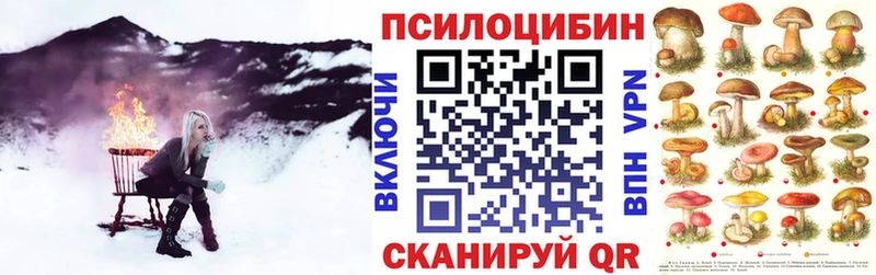 МЕГА вход  закладка  Ессентуки  Галлюциногенные грибы GOLDEN TEACHER 